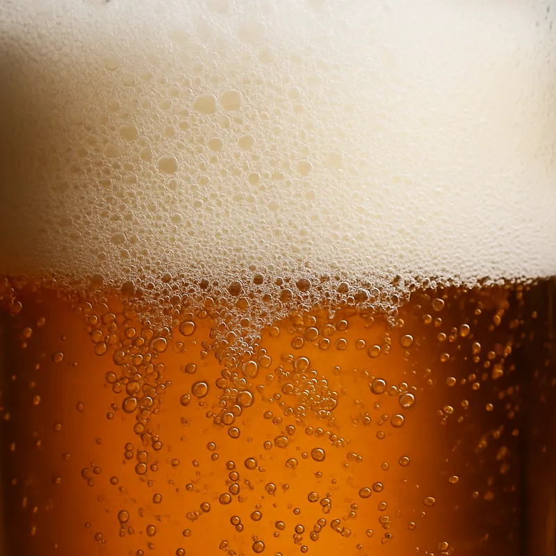 맥주 거품의 표면장력과 계면활성제 작용